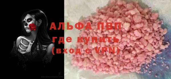 стаф Алзамай