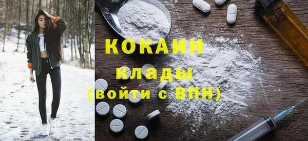 стаф Алзамай