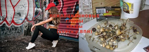 а пвп мука Алексин