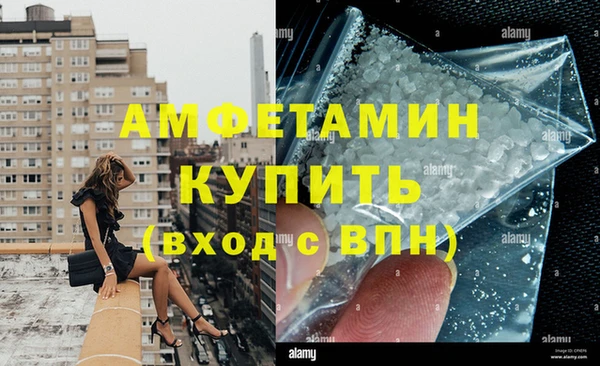 стаф Алзамай