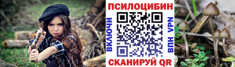 Купить где  Тында  Псилоцибиновые грибы Psilocybine cubensis 